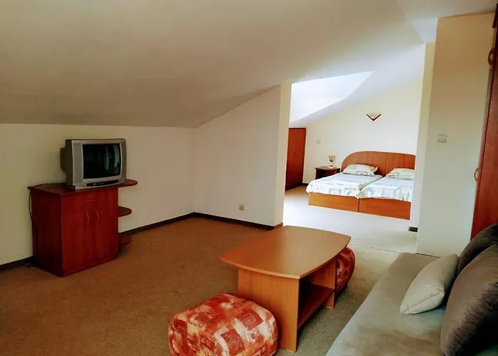 Guest house Solis 3*